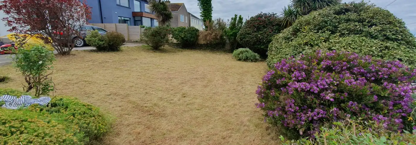 Mow Plus premium outdoor services