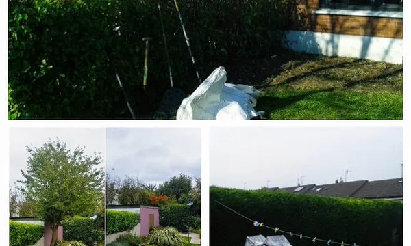 Tree and Hedge Maintenance